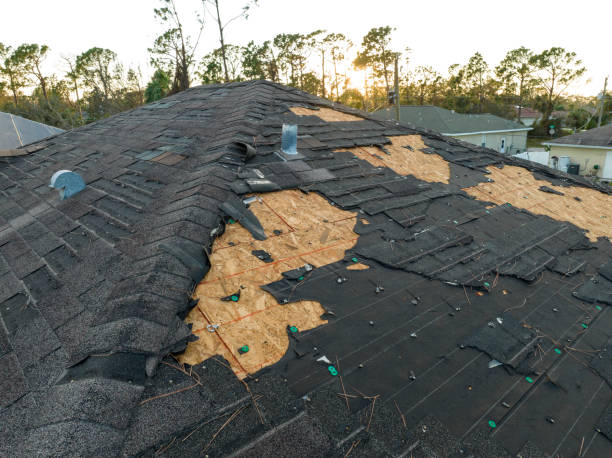 Best Roof Inspection  in USA